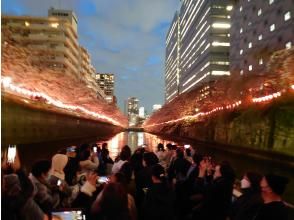 プランの魅力 Cherry blossoms at night on Meguro River の画像