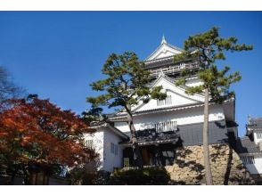 プランの魅力 The center of Okazaki city. Tokai OnAir sanctuary and Okazaki Castle are also within walking distance の画像