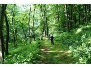 プランの魅力 Unpaved trail の画像