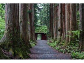 プランの魅力 Okusha cedar trees の画像