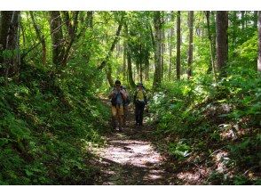 プランの魅力 Togakushi old road の画像