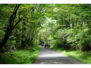 プランの魅力 奥社参道 の画像