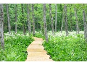 プランの魅力 Togakushi Forest Botanical Garden の画像