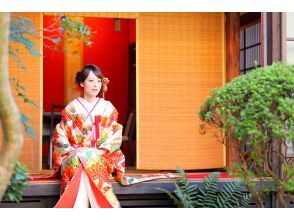 プランの魅力  の画像