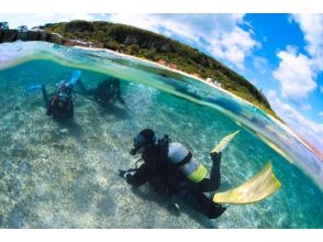 プランの魅力 水中は別世界！！ の画像