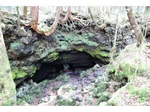 プランの魅力 天然記念物『竜宮洞窟』 の画像