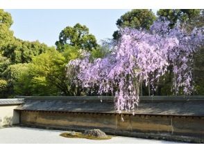 プランの魅力 竜安寺① の画像