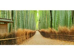 プランの魅力 岚山步道和天龙寺① の画像