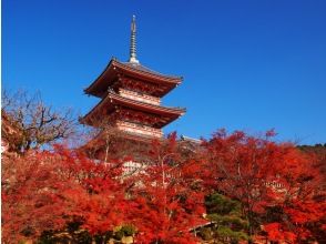 プランの魅力 Kiyomizu Temple and Gion ① の画像