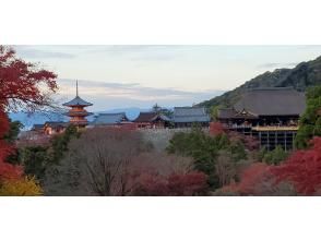 プランの魅力 清水寺と祇園② の画像