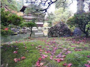 プランの魅力 Ginkakuji ② の画像