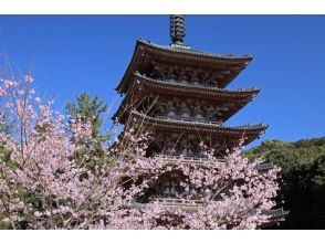 プランの魅力 Daigoji Temple の画像