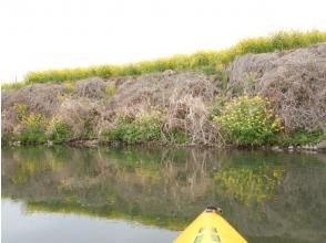 プランの魅力 水面に映る菜の花がキレイ◎ の画像
