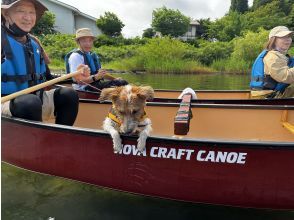 プランの魅力 Very popular ♪ Direct canoeing! の画像