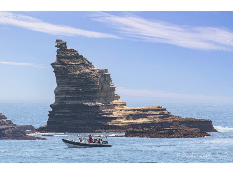 Chiba Katsuura Bay Cruising Coastline Exploration Tour Monster Rock