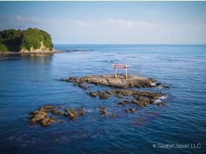 プランの魅力 勝浦的平島 の画像