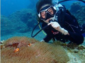 プランの魅力 クマノミと一緒に の画像