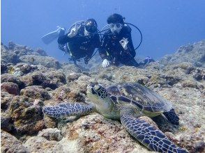 プランの魅力 アオウミガメがすぐ近く の画像