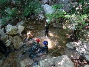 プランの魅力 游泳池感觉很好♪ の画像