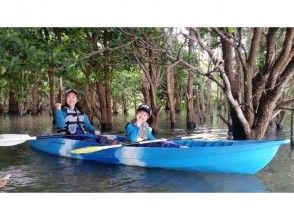 プランの魅力 Healing mangrove kayak の画像