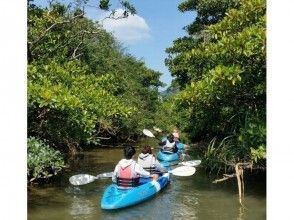 プランの魅力 here we go! Into the mangrove forest の画像