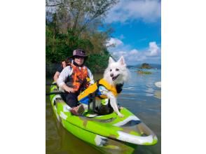 プランの魅力 ペット参加可 の画像