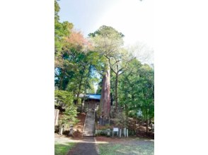 プランの魅力 Sokomiya Hosonosou Suwa Shrine の画像