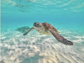 プランの魅力 遭遇率100％継続中★ の画像