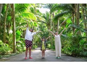 プランの魅力 石垣島をまるごと堪能！ の画像