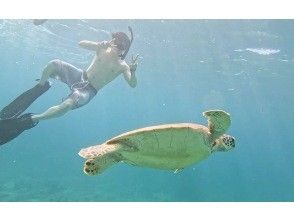 プランの魅力 亀と2ショットも！！！ の画像