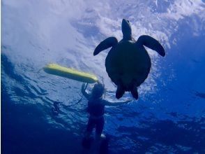 プランの魅力  の画像