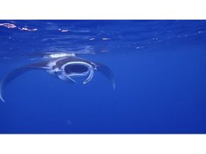 プランの魅力  の画像