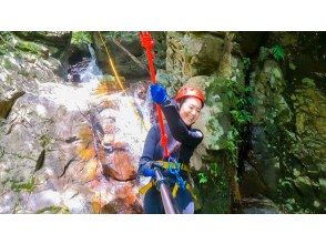 プランの魅力 Zip line の画像