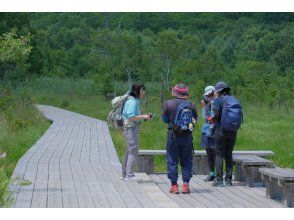 プランの魅力 整備された木道で短時間・短距離での活動 の画像
