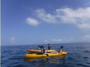 プランの魅力 深い海 の画像