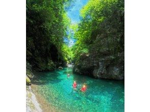 プランの魅力 仁淀ブルー の画像