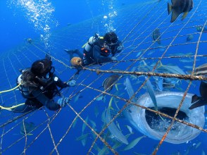 プランの魅力 ご飯シーンは水族館でも見られない貴重シーン！ の画像