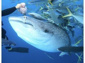 プランの魅力 愛らしいお顔が目の前で見られます！ の画像