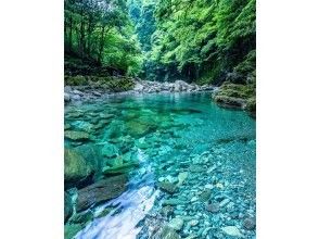 プランの魅力 秘境で最も美しい「安居渓谷」 の画像