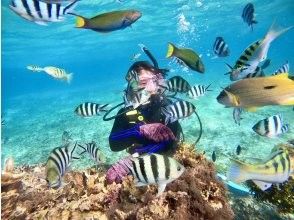 プランの魅力 写真に残せる感動体験 の画像