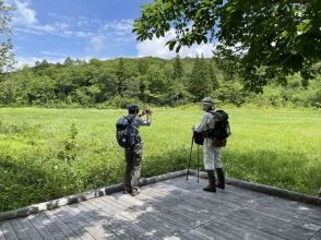 プランの魅力 玉原湿原(7月) の画像