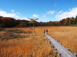 プランの魅力 玉原湿原(10月) の画像