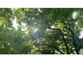 プランの魅力 Amazing experience, opening your five senses の画像