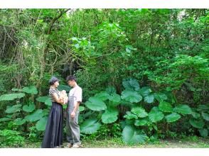 プランの魅力 自然がやさしく溶け合う瞬間を体験♡ の画像