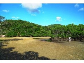 プランの魅力 沖縄石垣島物語♪ の画像