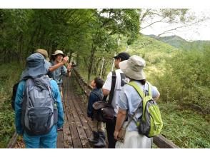 プランの魅力 絶景を眺めながら楽しむ奥日光の秋 の画像