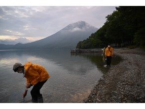 プランの魅力 水辺の生きもの探し の画像