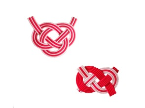 プランの魅力 Learn two types of knots の画像