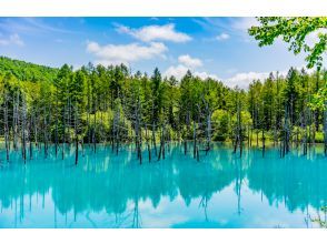 プランの魅力 青い池 の画像