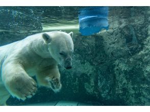 プランの魅力 旭山動物園 の画像